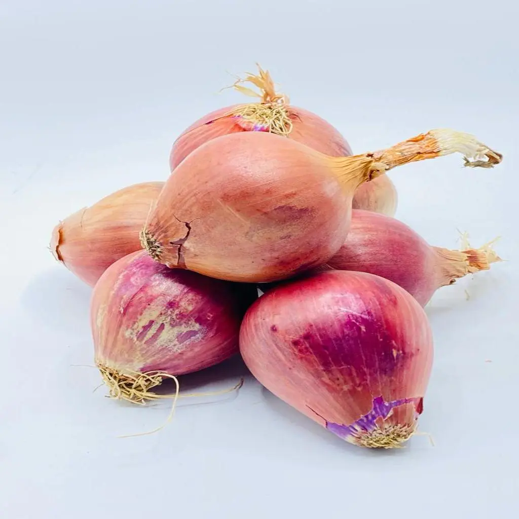 Yemeni Onion